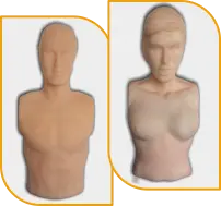 Male Torso Female Torso